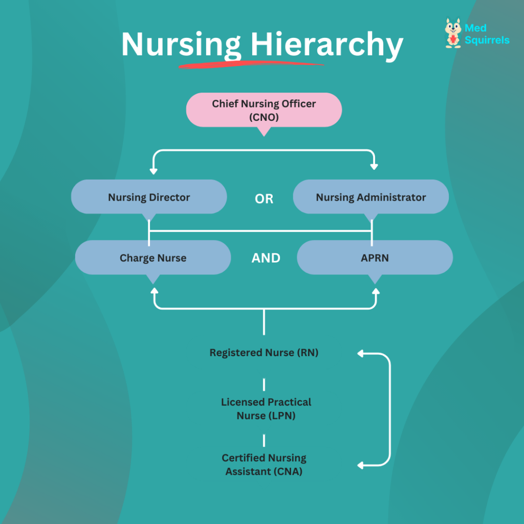 nursing-hierarchy