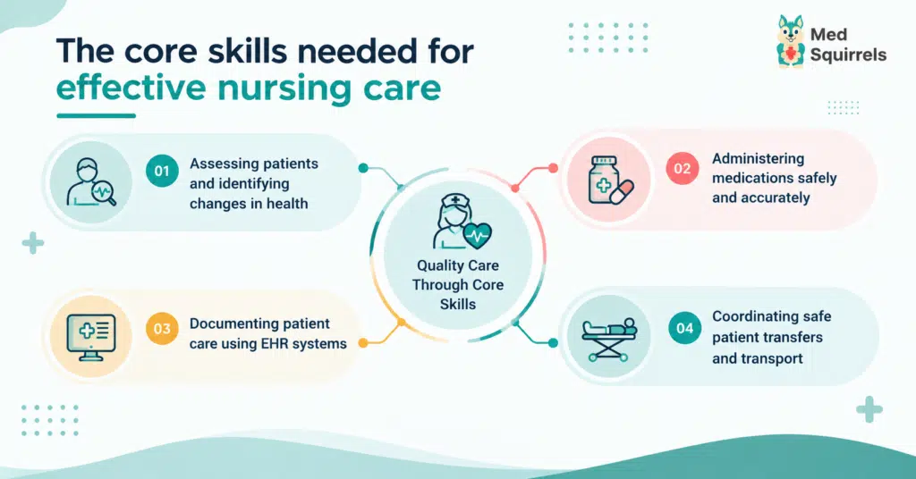 Nurse hierarchy us MedSquirrels