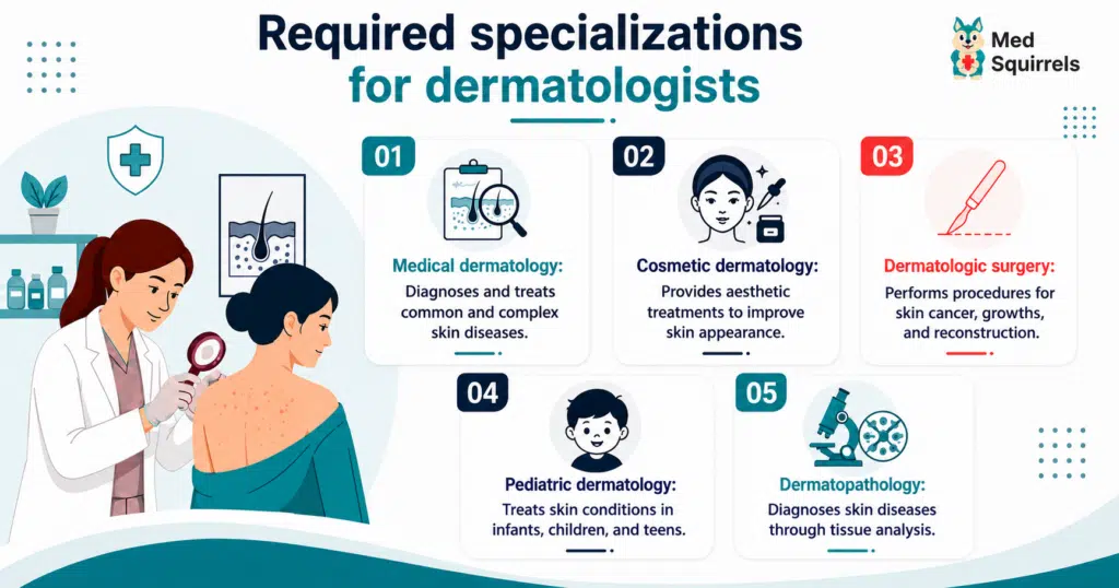 Dermatology subspecialties MedSquirrels